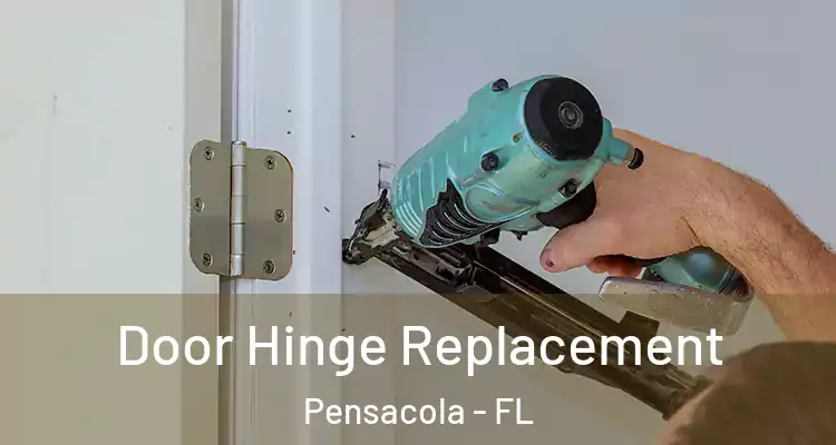 Door Hinge Replacement Pensacola - FL