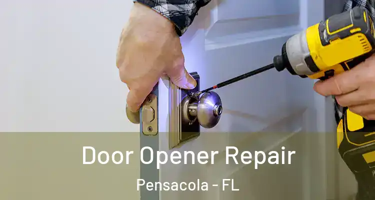 Door Opener Repair Pensacola - FL