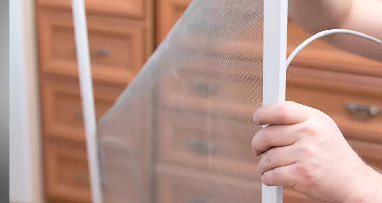 Privacy Mesh Screen Door Installation in Pensacola, FL