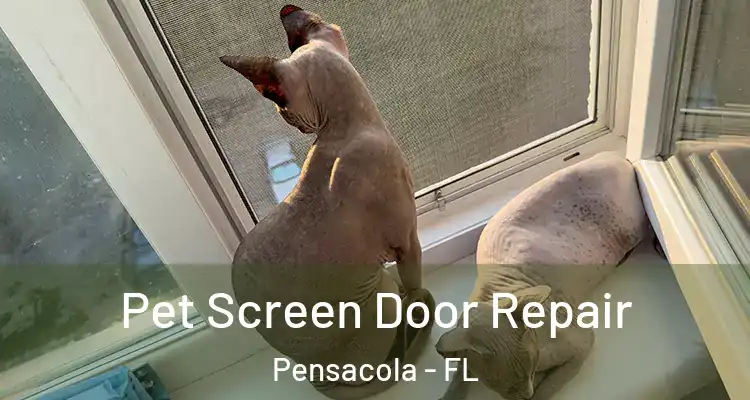  Pet Screen Door Repair Pensacola - FL