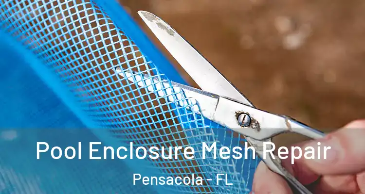  Pool Enclosure Mesh Repair Pensacola - FL