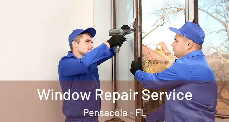  Window Repair Service Pensacola - FL